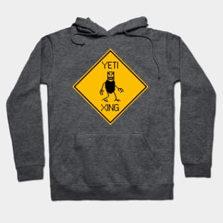 skiers beware Hoodie